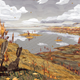 Illustration for article titled From Badger Simulator to Lynx Simulator